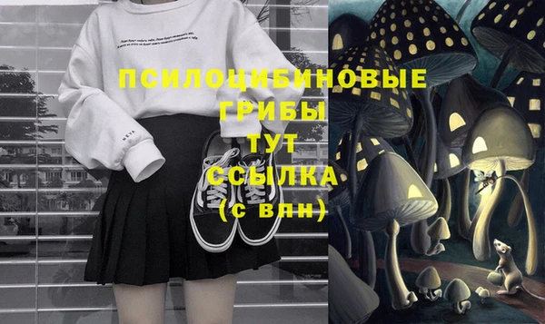 стафф Волосово