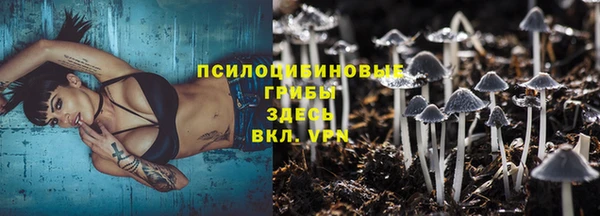 стафф Волосово