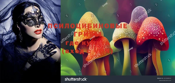 дживик Володарск