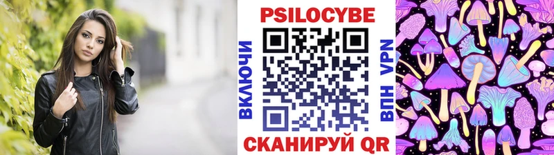 Купить где  Новохопёрск  Галлюциногенные грибы Psilocybine cubensis 